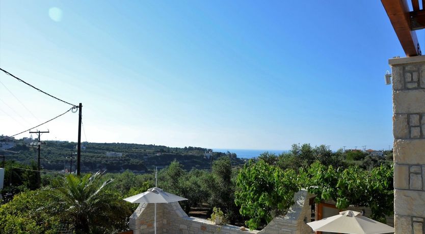 Photo of Amid Ancient Olive Groves