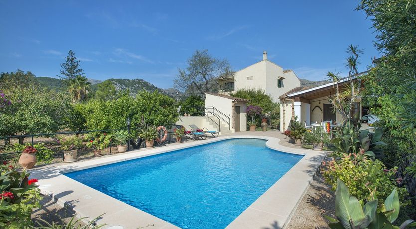 Photo of Beautiful Bougainvillea