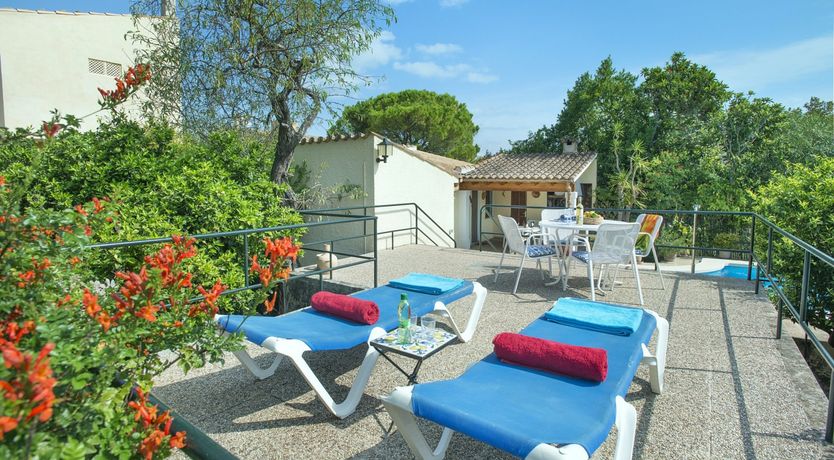 Photo of Beautiful Bougainvillea