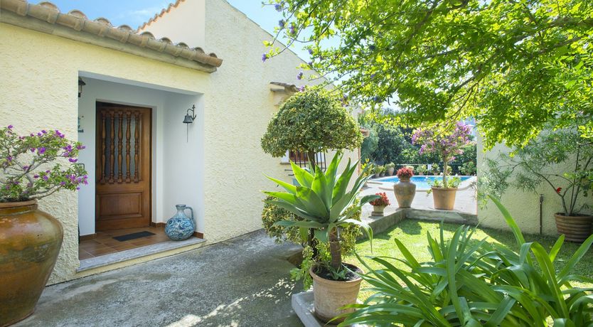 Photo of Beautiful Bougainvillea