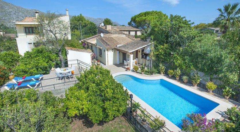 Photo of Beautiful Bougainvillea
