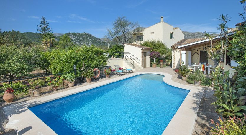 Photo of Beautiful Bougainvillea