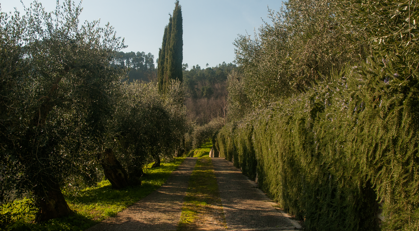 Photo of Breeze Into The Sun