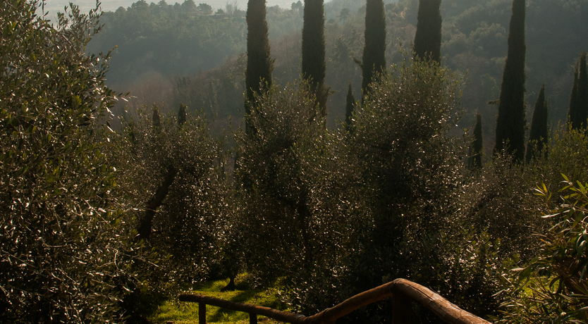 Photo of Breeze Into The Sun