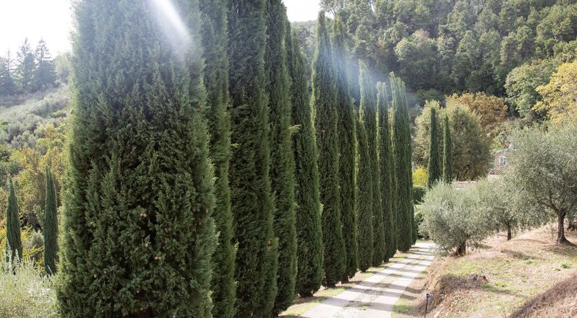 Photo of Breeze Into The Sun