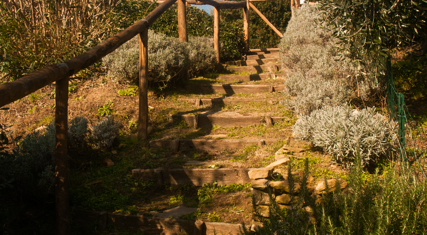 Photo of Breeze Into The Sun