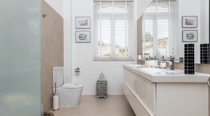 Photo of Olive & Citrus