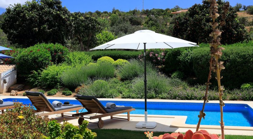 Photo of Olive & Citrus