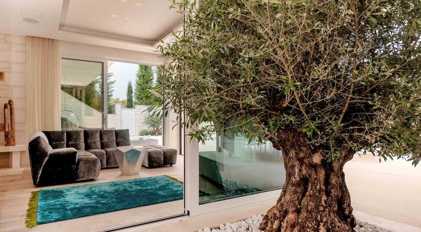 Photo of Sun, Stone & Sea