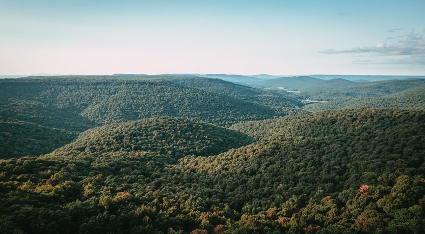 Photo of Moonlit Mountains