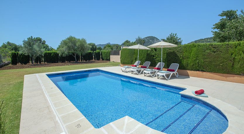 Photo of Pollen&ccedil;a Pad