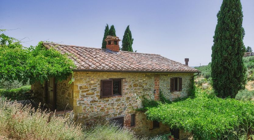 Photo of Wisteria & Lavender