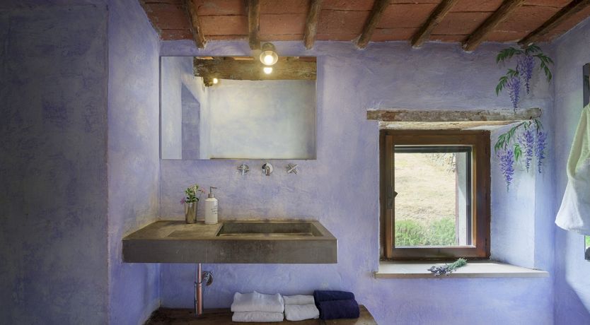 Photo of Wisteria & Lavender