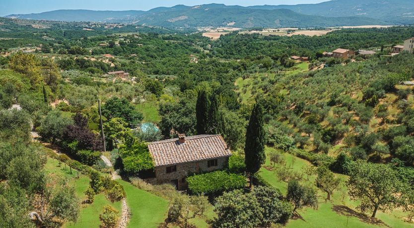 Photo of Wisteria & Lavender