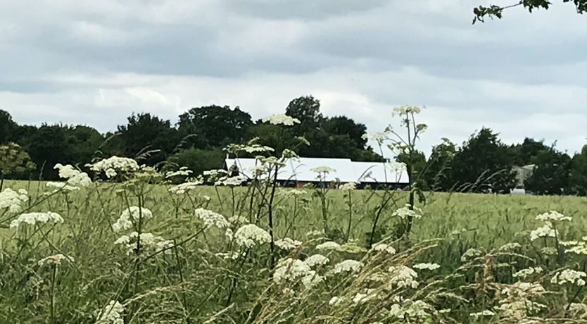 Photo of Woolmers Mead