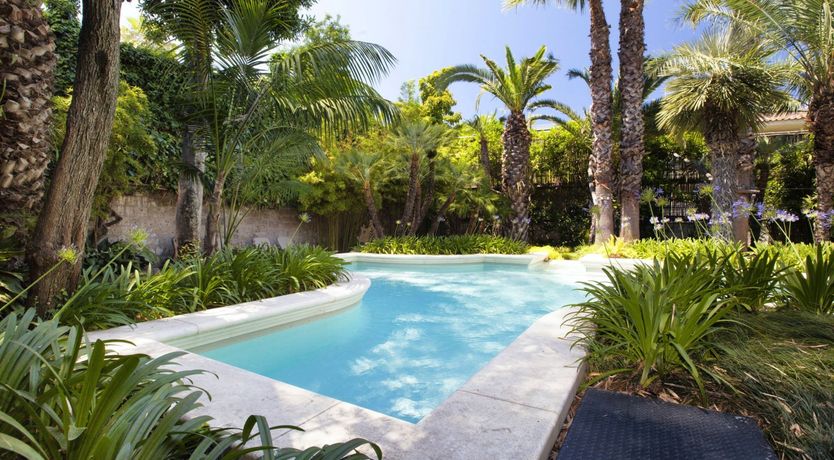 Photo of Palm-Lined Living