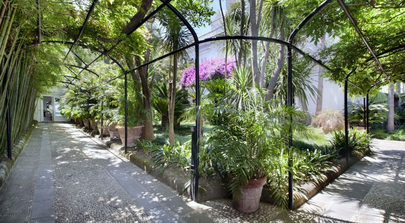 Photo of Palm-Lined Living