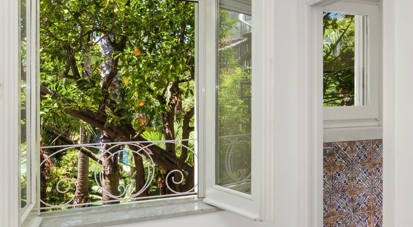 Photo of Palm-Lined Living