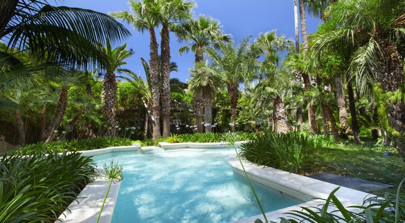 Photo of Palm-Lined Living