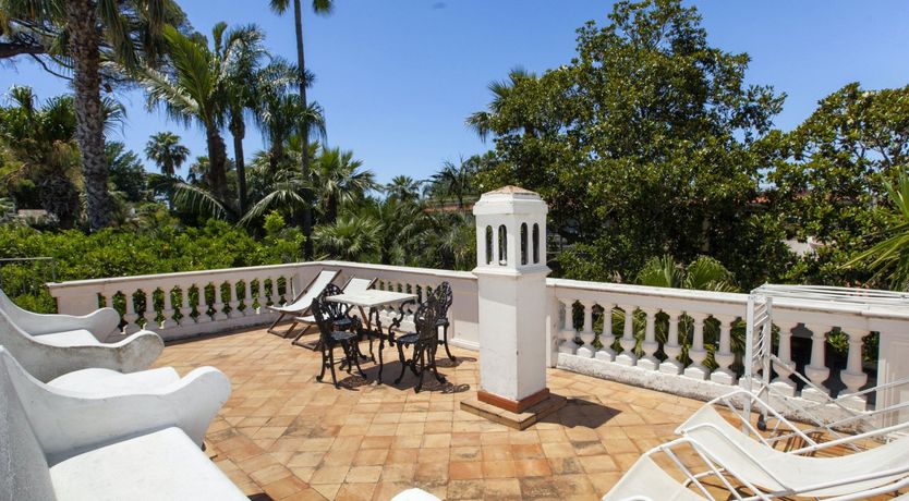 Photo of Palm-Lined Living