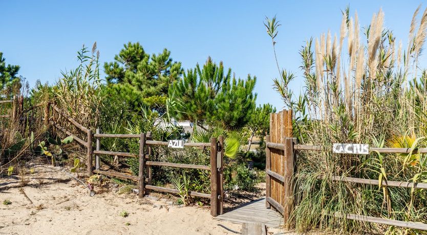 Photo of The Spice of Carvalhal