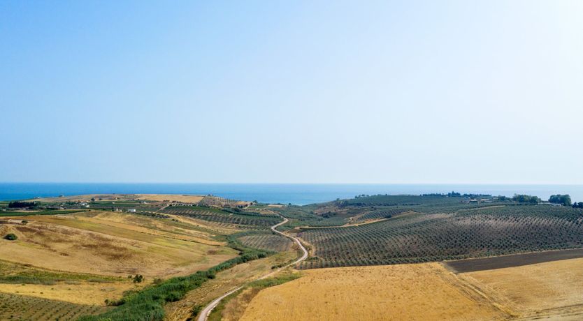 Photo of Terracotta Mirage