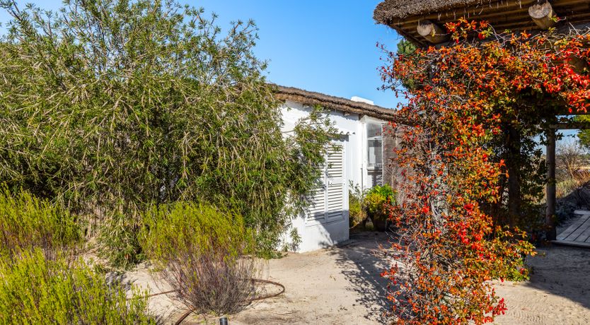 Photo of Beachy Boho