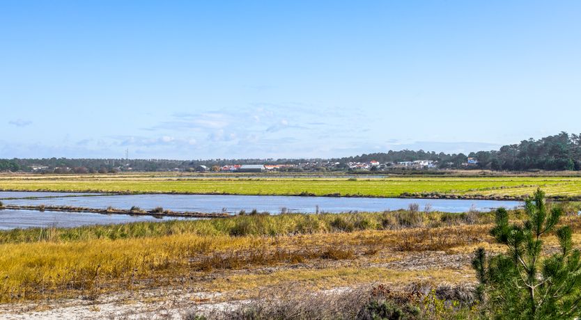 Photo of Beachy Boho