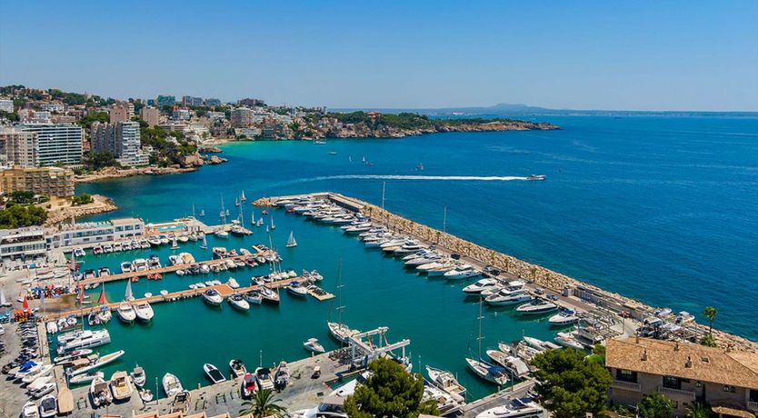 Photo of Mallorcan Magic