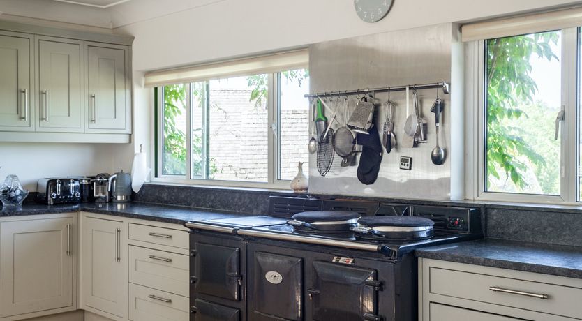 Photo of Green on My Mind