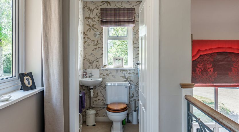 Photo of Green on My Mind