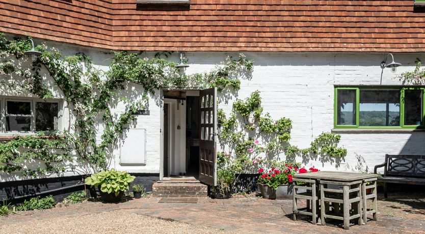 Photo of Green on My Mind