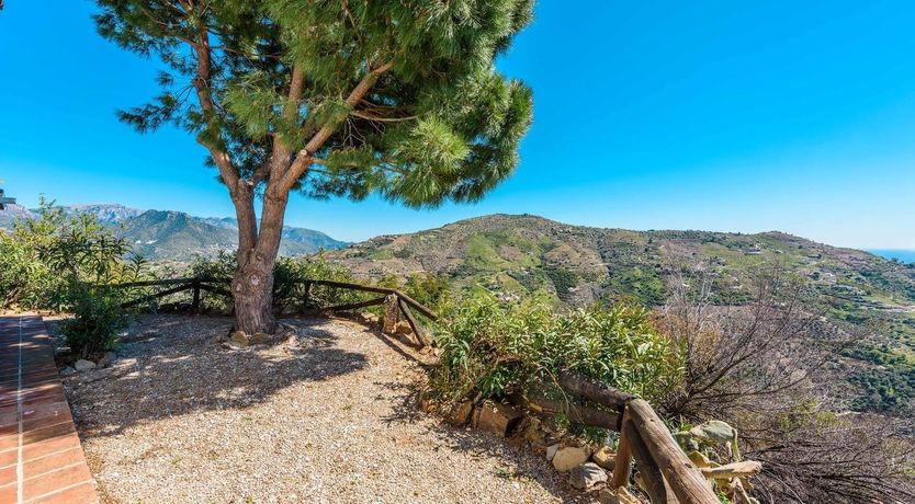 Photo of Sierra Siesta