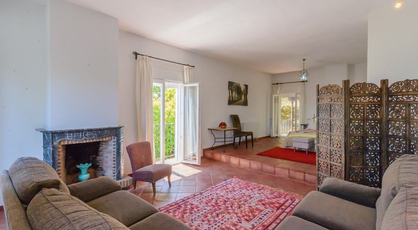 Photo of Wild Tulips