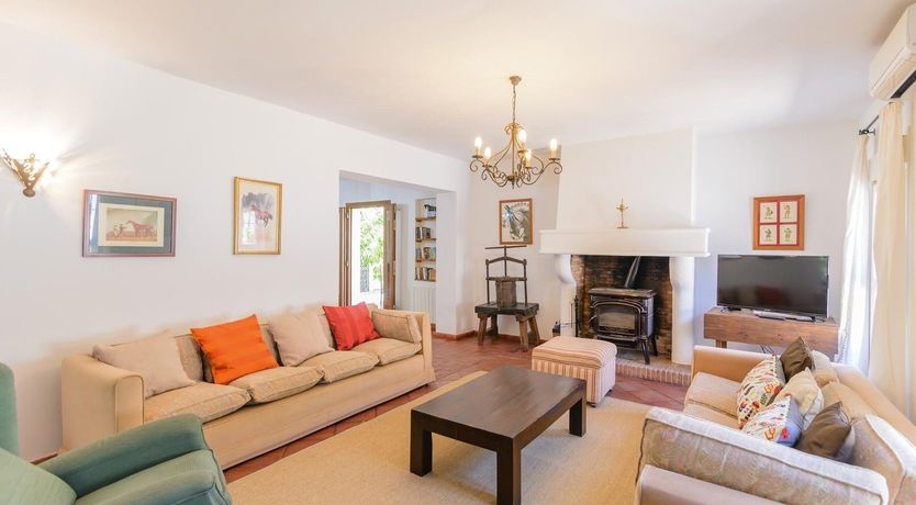 Photo of Wild Tulips