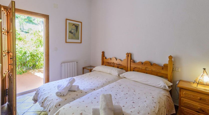 Photo of Wild Tulips