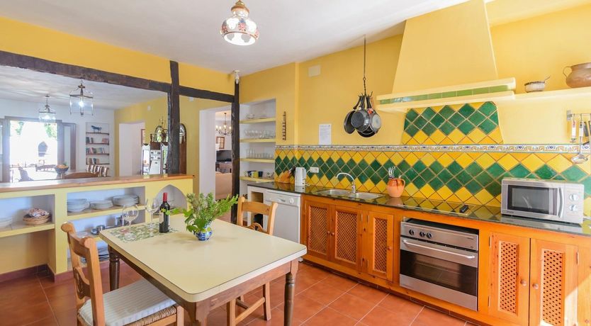 Photo of Wild Tulips