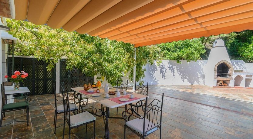 Photo of Wild Tulips