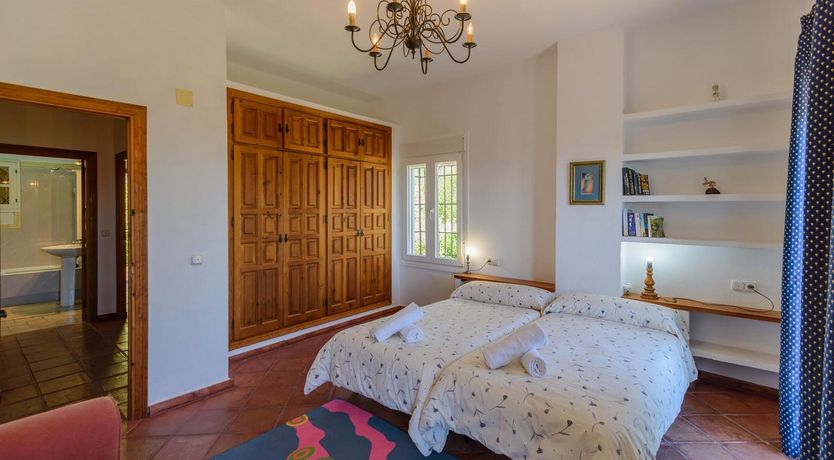 Photo of Wild Tulips