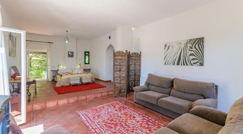 Photo of Wild Tulips