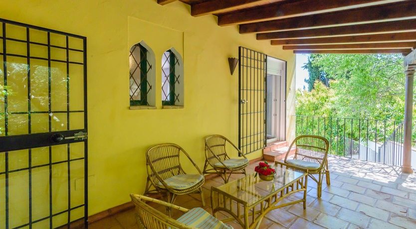 Photo of Wild Tulips