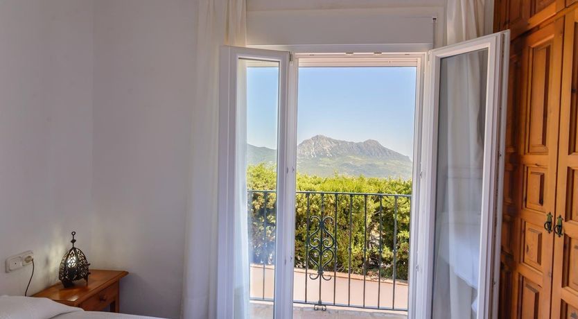 Photo of Wild Tulips