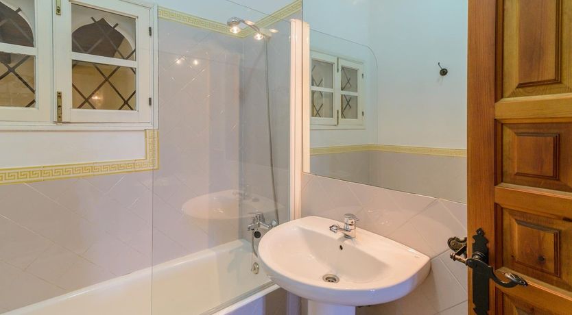 Photo of Wild Tulips