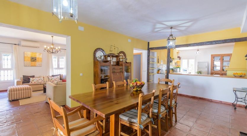 Photo of Wild Tulips