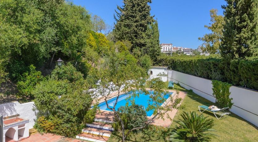 Photo of Wild Tulips