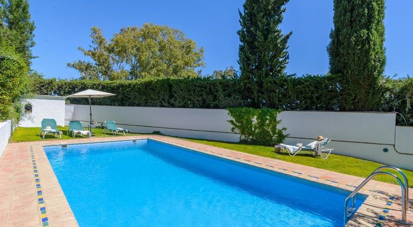 Photo of Wild Tulips