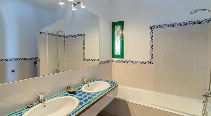 Photo of Wild Tulips