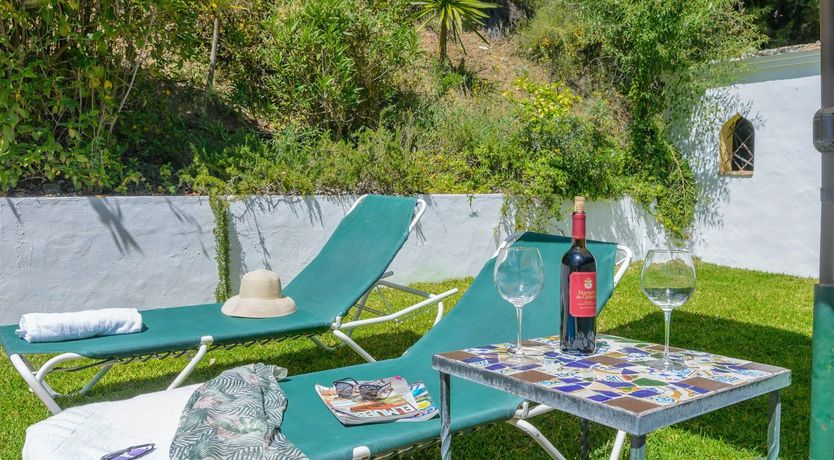 Photo of Wild Tulips