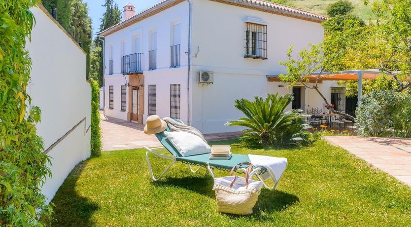 Photo of Wild Tulips