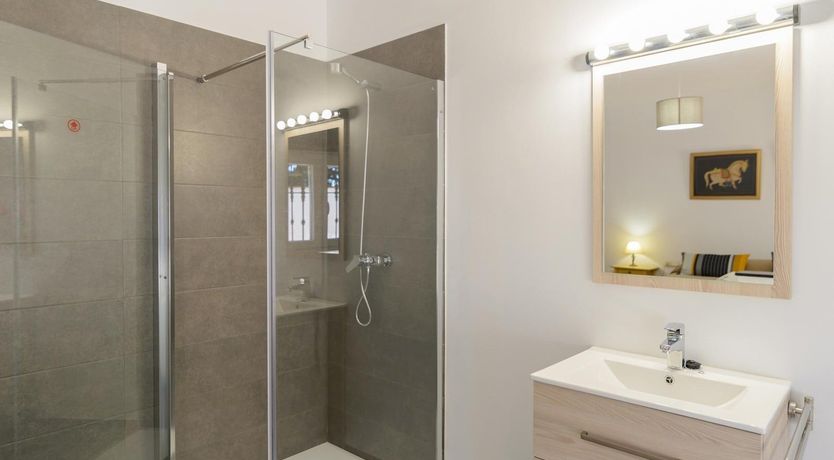 Photo of Wild Tulips